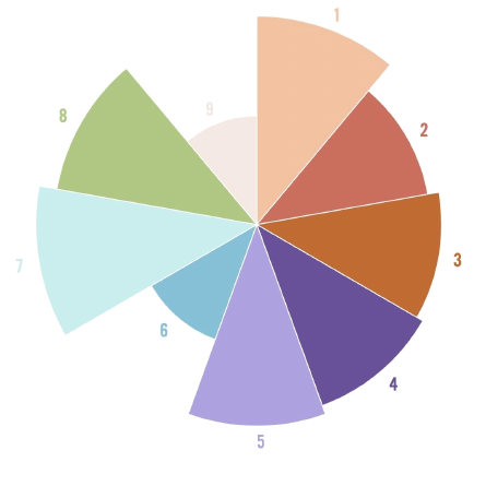 Original nine-type Enneagram radial chart from Travis’s personal profile; segment lengths vary by type. No numerical scores are shown.